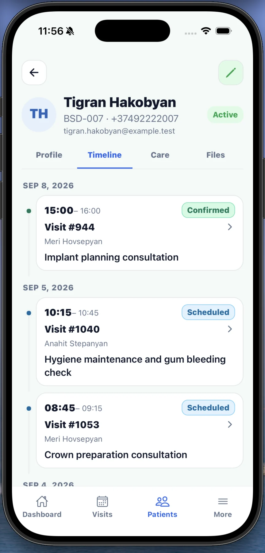 Chronological patient visit timeline